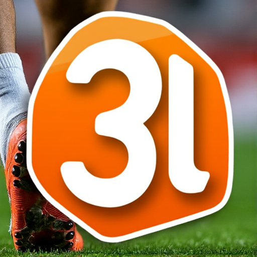 3l Logo